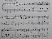 Fortepijoninės sonatos Schubert F. - nuotraukos Nr. 3