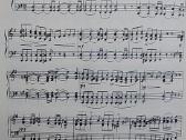 Fortepijoninės sonatos Schubert F. - nuotraukos Nr. 4