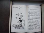 L. Čepienė. Pas motulę augau - nuotraukos Nr. 13