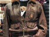 Polo Ralph Lauren odinė striukė