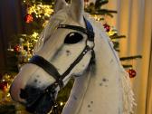 Hobby Horsing Arkliukai - nuotraukos Nr. 3