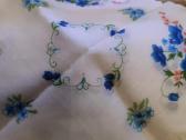 Nosinaites