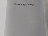 Žmogus ugdo žmogų - nuotraukos Nr. 2