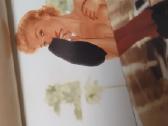 Playboy Blondines knyga