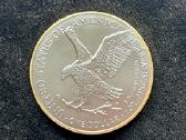 American silver eagle 1oz Ruthenium + Gold - nuotraukos Nr. 2