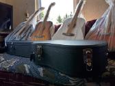 Naujos akustinės Gitaros