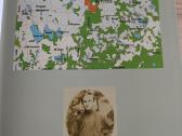 Karių, partizanų ir šaulių kapų atlasas. 1919-1940 - nuotraukos Nr. 5