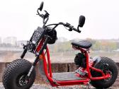 Off Road Citycoco Maxmov 3000w