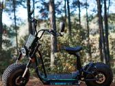 Off Road Citycoco Maxmov 3000w - nuotraukos Nr. 7