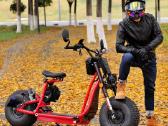 Off Road Citycoco Maxmov 3000w - nuotraukos Nr. 4