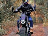 Off Road Citycoco Maxmov 3000w - nuotraukos Nr. 9