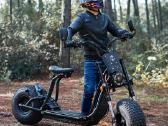 Off Road Citycoco Maxmov 3000w - nuotraukos Nr. 10