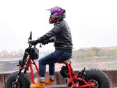 Off Road Citycoco Maxmov 3000w - nuotraukos Nr. 5