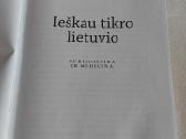 Ieškau tikro lietuvio - nuotraukos Nr. 2