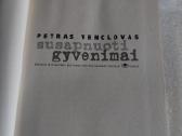 Susapnuoti gyvenimai - nuotraukos Nr. 2
