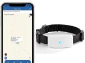 GPS antkaklis augintiniui Tkstar tk911 - nuotraukos Nr. 3
