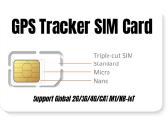Sim GPS sekliui metams