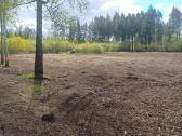 Šakų smulkinimas, sklypų, pamiškių,griovių valymas - nuotraukos Nr. 6