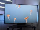 Philips televizorius