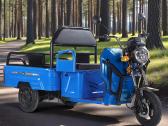 Elektrinis krovininis triratis motoroleris SL-11 - nuotraukos Nr. 2