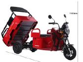 Elektrinis krovininis triratis motoroleris SL-11 - nuotraukos Nr. 4