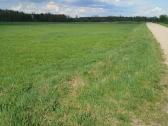 Namų valdos sklypas Rumšiškių miesteli - nuotraukos Nr. 3