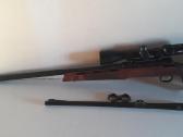 Sauer 308win :223rem
