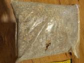 Baltijos jūros gintaras - 2kg pakuotė - nuotraukos Nr. 2