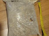 Baltijos jūros gintaras - 2kg pakuotė - nuotraukos Nr. 3