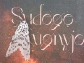 Sudegę ugnyje