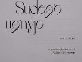 Sudegę ugnyje - nuotraukos Nr. 2