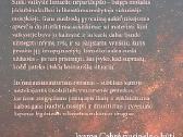 Sudegę ugnyje - nuotraukos Nr. 3