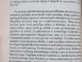 D.p. Sandford "Krikščioniškos šeimos atstatymas'' - nuotraukos Nr. 4