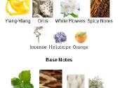Maison incens Chypre Isli Edp 100 ml - nuotraukos Nr. 4