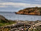 Foto paveikslai Jums - nuotraukos Nr. 4