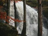 Foto paveikslai Jums - nuotraukos Nr. 2