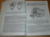 Traktoriaus T-40м, T-40aм, T-40aнм - nuotraukos Nr. 11
