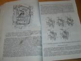 Traktoriaus T-40м, T-40aм, T-40aнм - nuotraukos Nr. 12