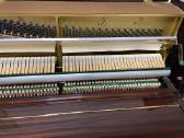 Paininas Yamaha autentiškas Made in Japan - nuotraukos Nr. 5