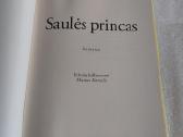 Saulės princas - nuotraukos Nr. 2