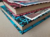 Monster High dienoraštis knygos - nuotraukos Nr. 3