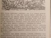 V. Haufas "Pasaulio pasakos" - nuotraukos Nr. 4