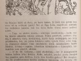 V. Haufas "Pasaulio pasakos" - nuotraukos Nr. 5