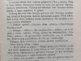 J. Baltušis "Raštai II" - nuotraukos Nr. 5