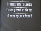 Rimantas Dichavičius. „Žiedai tarp žiedų“ - nuotraukos Nr. 3