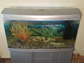 Akvariumas (su spintele) 190 l
