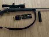 Graižtvinis Steyr Cl II Sx Kal.300wsm