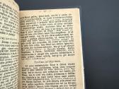 Novenos prie Viešpaties Jezaus, Šv. Panos Marijos - nuotraukos Nr. 5