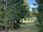 Nuostabi sodyba pušų - miško apsuptyje 1,55 ha - nuotraukos Nr. 2