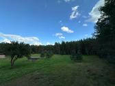 Nuostabi sodyba pušų - miško apsuptyje 1,55 ha - nuotraukos Nr. 3